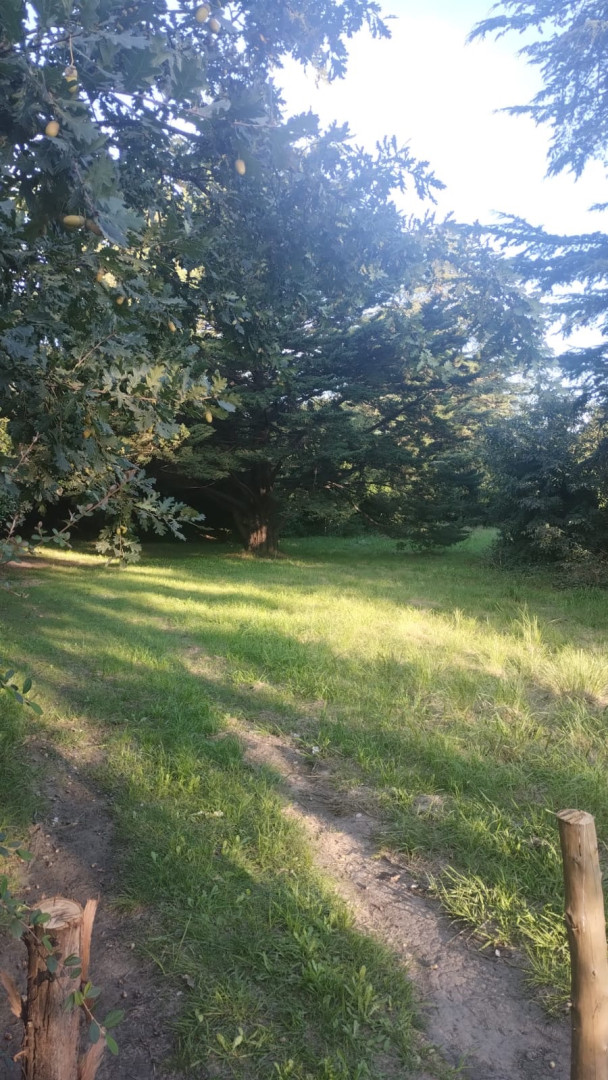Terreno en Venta  Parque Golf, Sierra de  la Ventana - Bahía Blanca Propiedades | SITIO OFICIAL l