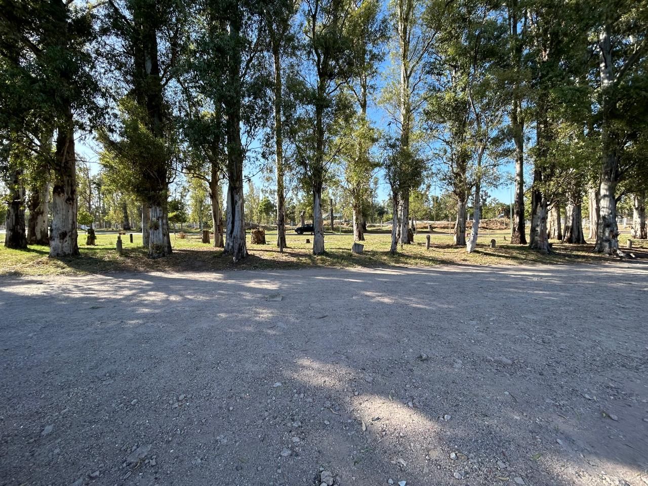 Terreno en Venta en Florida 1200, Paseo de la Mujer, Bahía Blanca - Bahía Blanca Propiedades | SITIO OFICIAL l