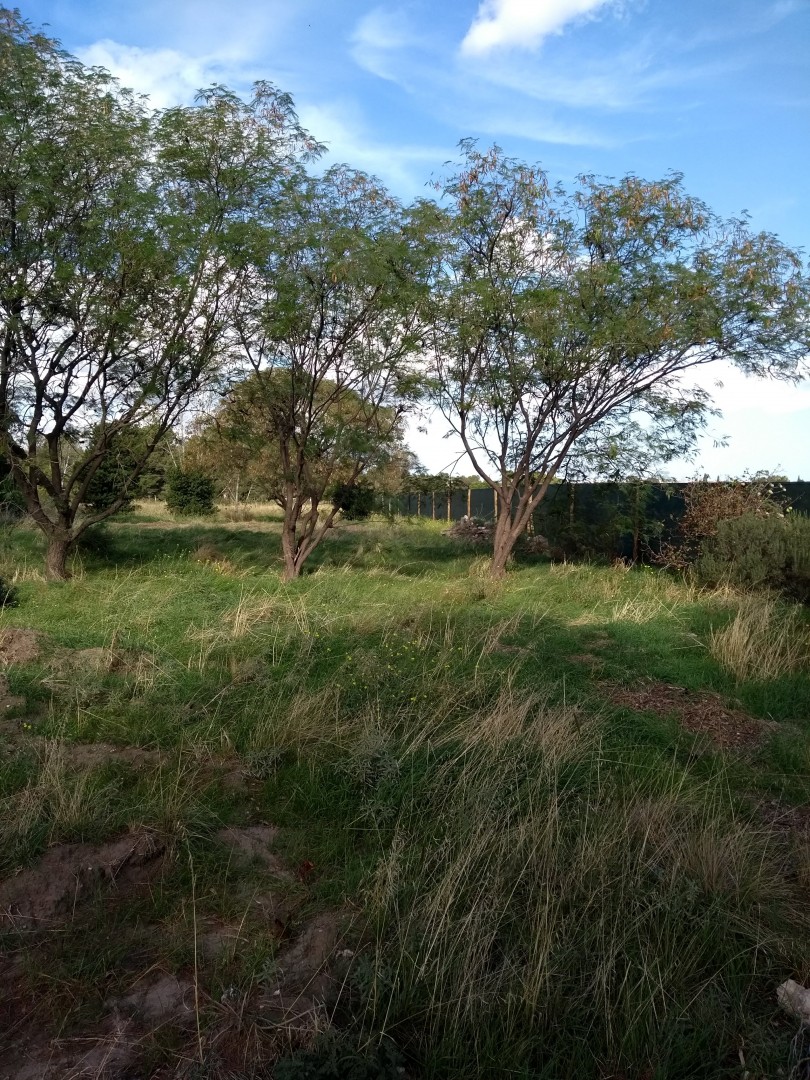 Terreno en Venta   Bahía Blanca - Bahía Blanca Propiedades | SITIO OFICIAL l