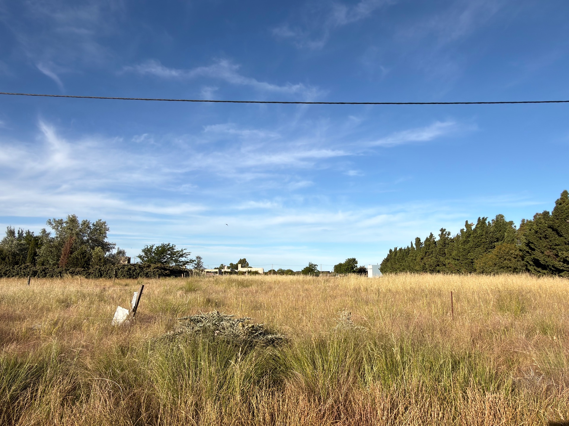 Terreno en Venta en Zaino 1000, Carrindanga, Bahía Blanca - Bahía Blanca Propiedades | SITIO OFICIAL l