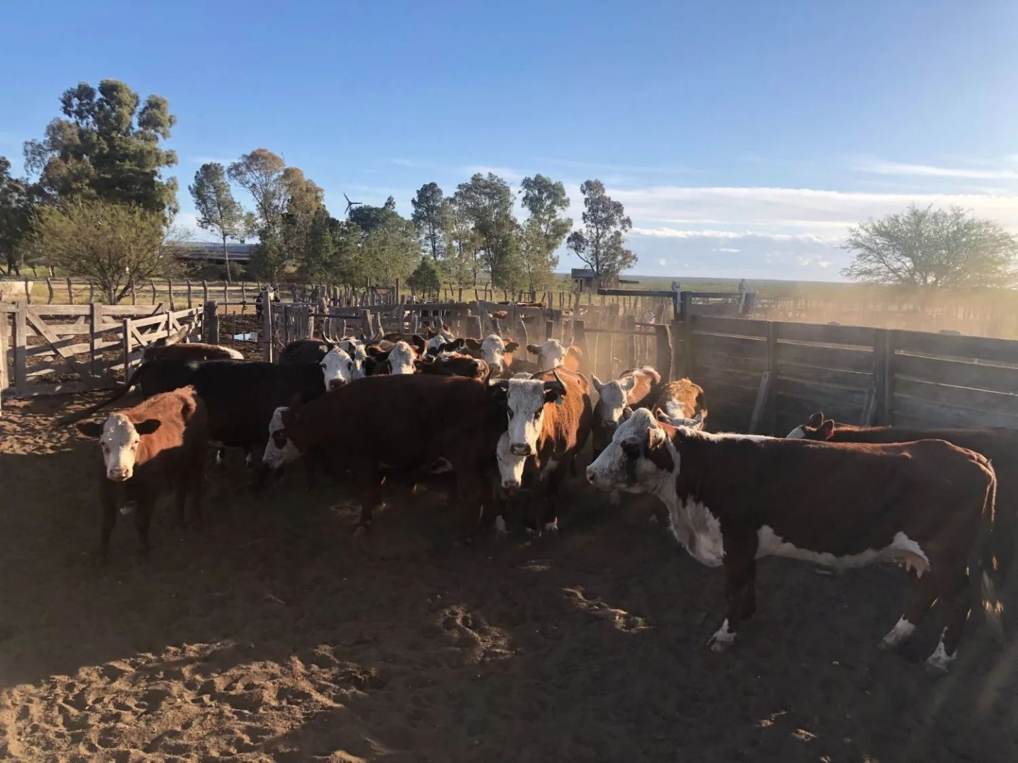 Campo  en Venta en Ruta Provincial 34,  Lihuel Calel - La Pampa - Bahía Blanca Propiedades | SITIO OFICIAL l