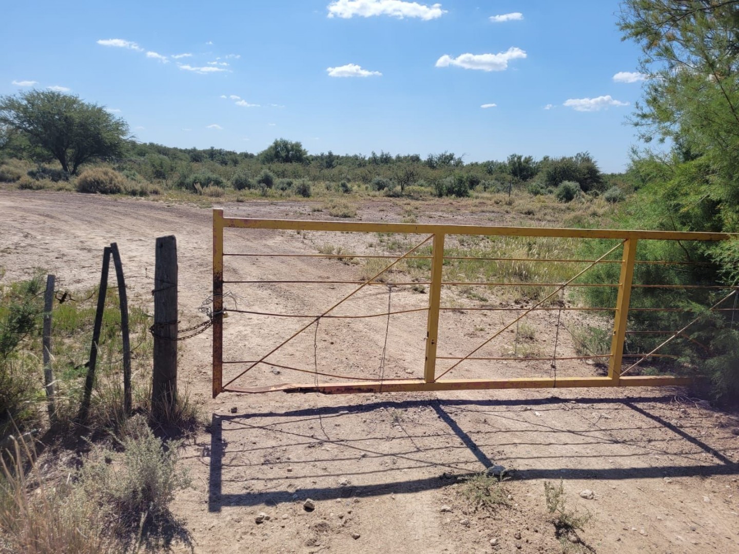 Terreno en Venta en RUTA 3  KM 701,  Bahía Blanca - Bahía Blanca Propiedades | SITIO OFICIAL l