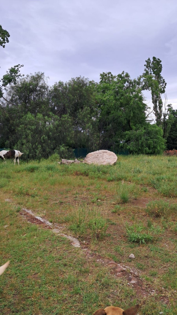 Terreno en Venta en Baigorria , San Miguel, Bahía Blanca - Bahía Blanca Propiedades | SITIO OFICIAL l