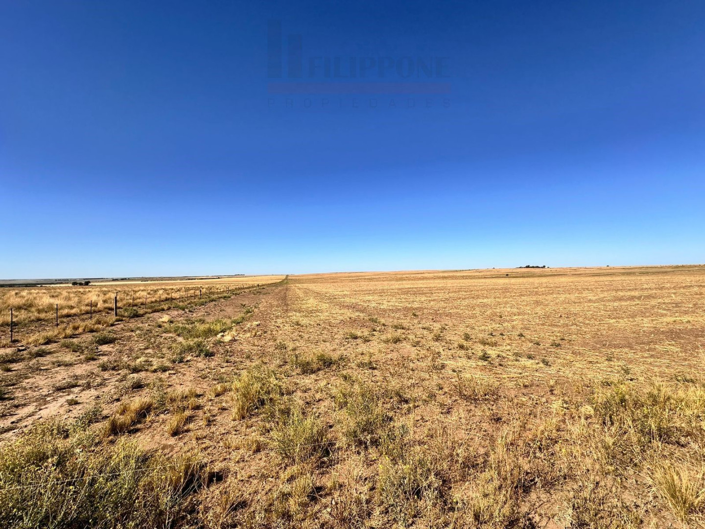 Campo  en Venta en Ruta 35,  Bahía Blanca - Bahía Blanca Propiedades | SITIO OFICIAL l