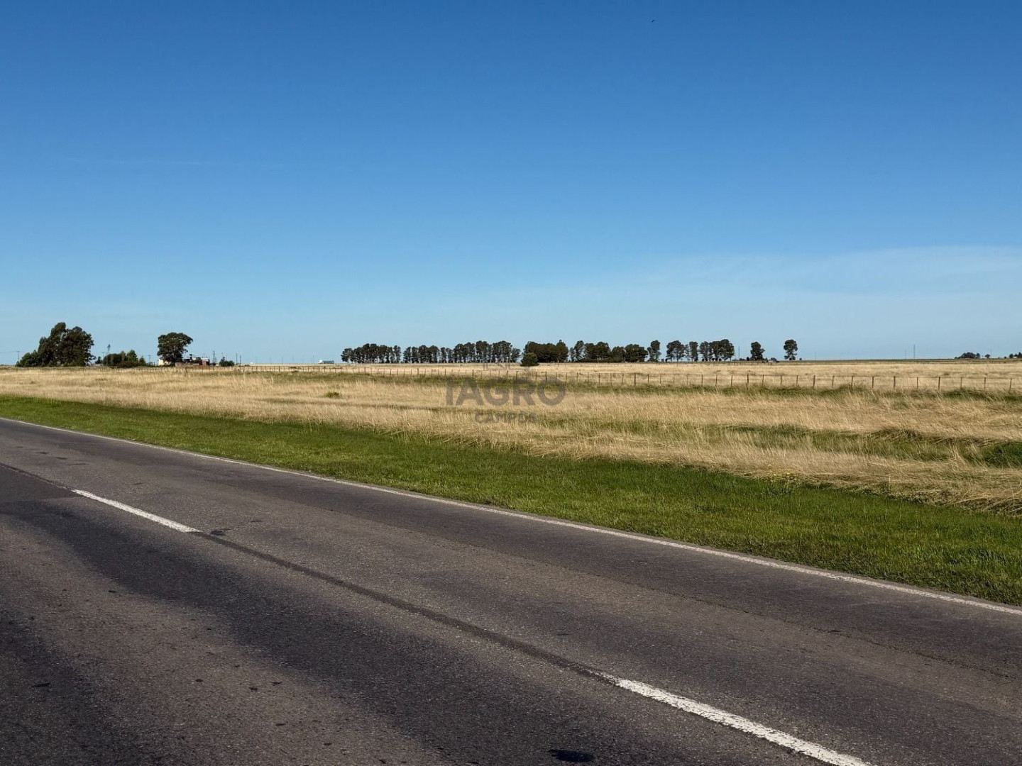 Campo  en Venta en Bajo Hondo,  Bajo Hondo - Bahía Blanca Propiedades | SITIO OFICIAL l