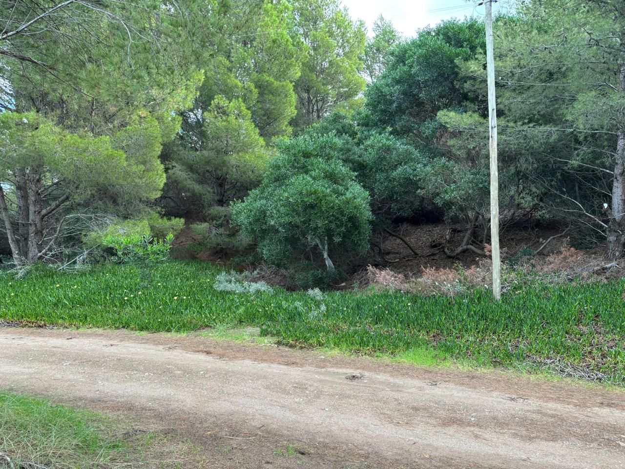 Terreno en Venta en Del Covento Y Mar Del Tuyu, El Sauce, Monte Hermoso - Bahía Blanca Propiedades | SITIO OFICIAL l