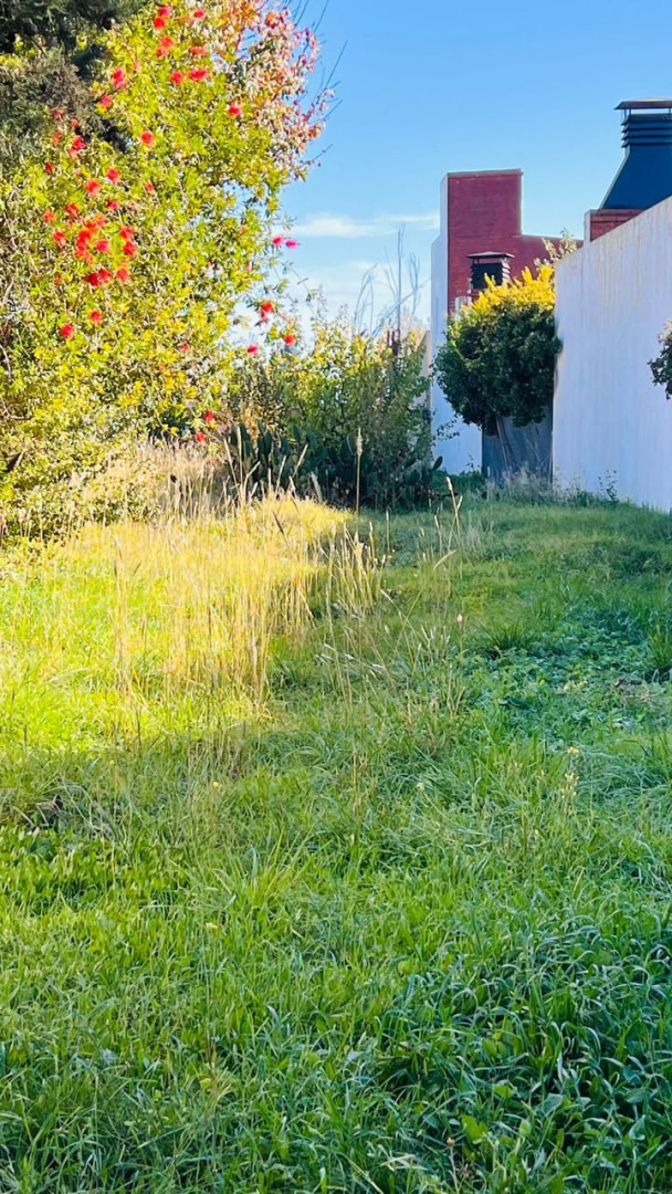 Terreno en Venta en Gregorio Rosas 3100, Patagonia, Bahía Blanca - Bahía Blanca Propiedades | SITIO OFICIAL l