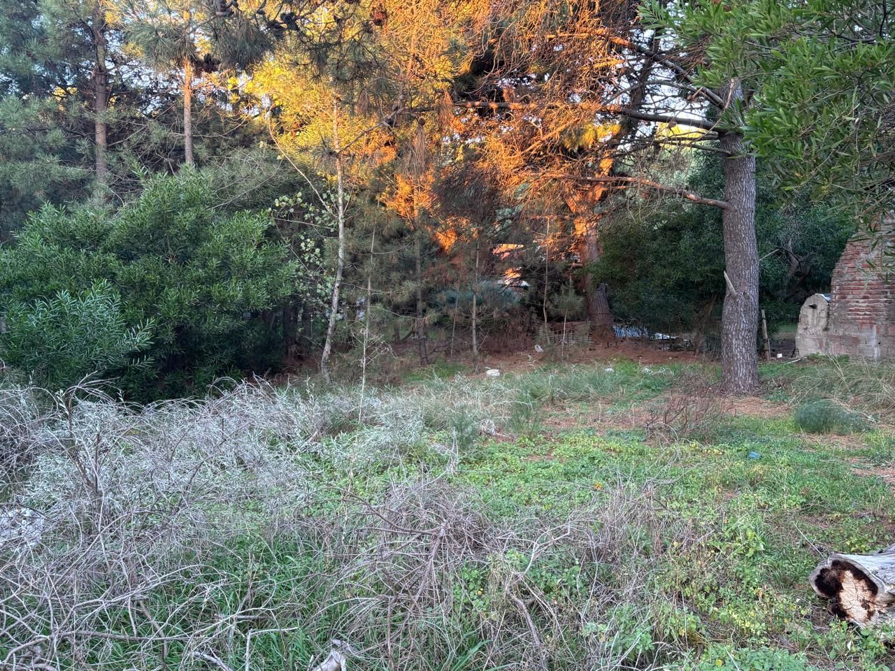 Terreno en Venta en Del Soldani 550, Las Dunas, Monte Hermoso - Bahía Blanca Propiedades | SITIO OFICIAL l