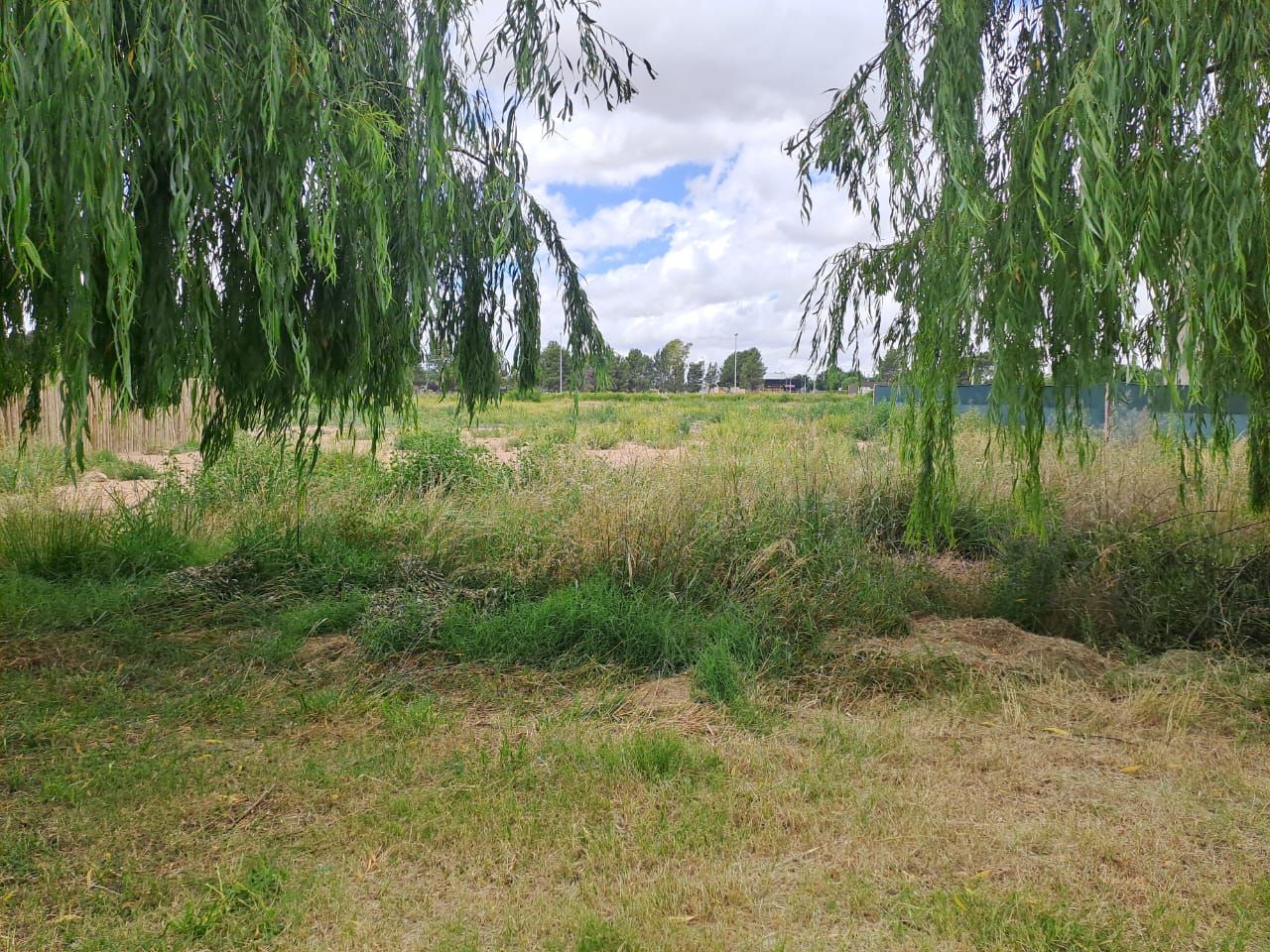 Local en Venta en CHARCAS Y ROGATIS, Patagonia, Bahía Blanca - Bahía Blanca Propiedades | SITIO OFICIAL l