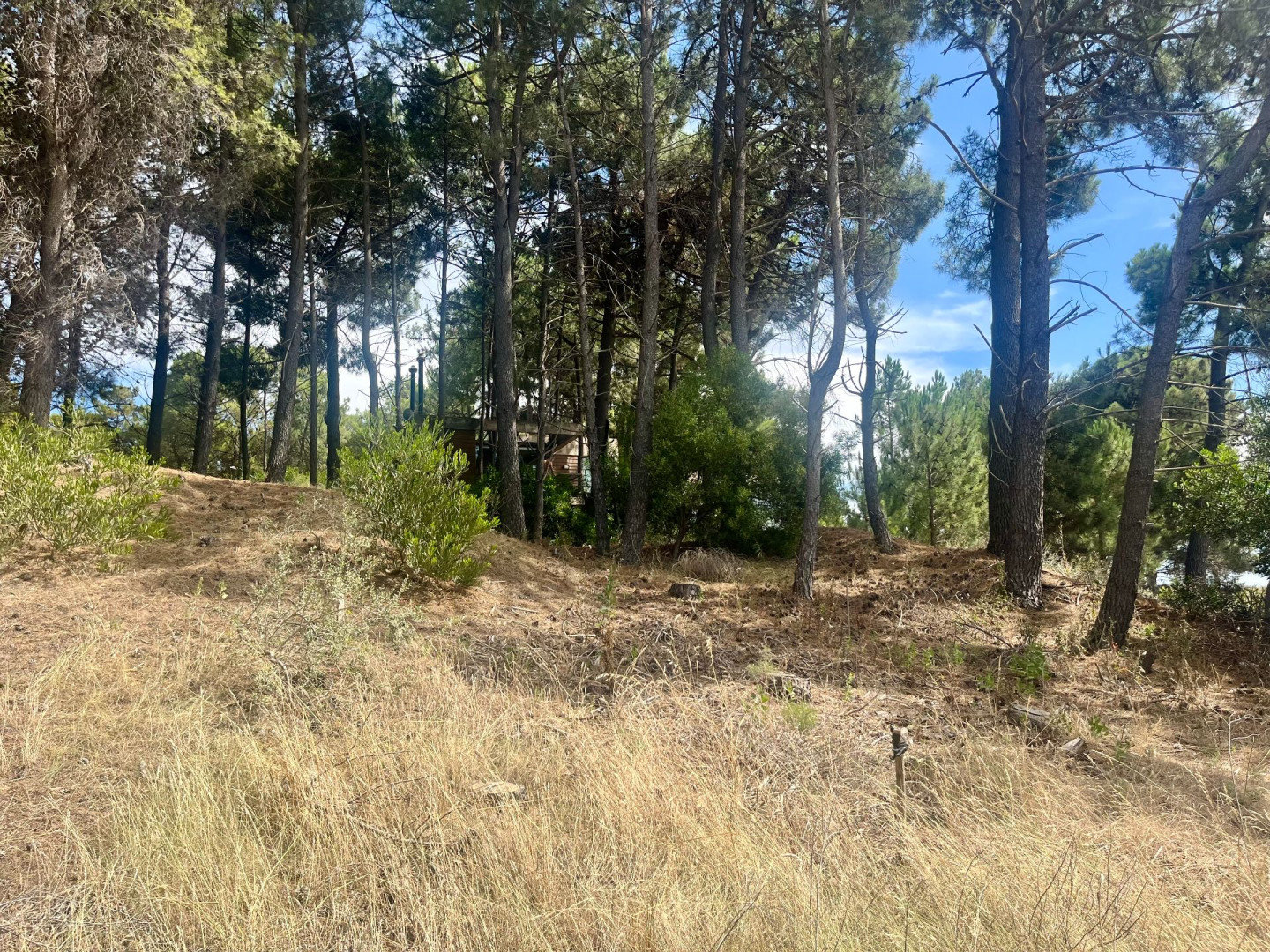 Terreno en Venta en Maipu Entre El Tero Y La Torcaza, Pinar del Golf, Monte Hermoso - Bahía Blanca Propiedades | SITIO OFICIAL l