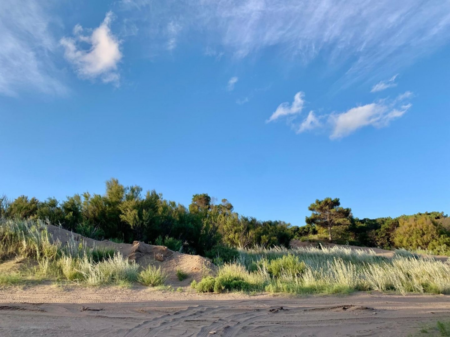 Terreno en Venta en Yatasto Y El Gavilán, Monte del Este, Monte Hermoso - Bahía Blanca Propiedades | SITIO OFICIAL l