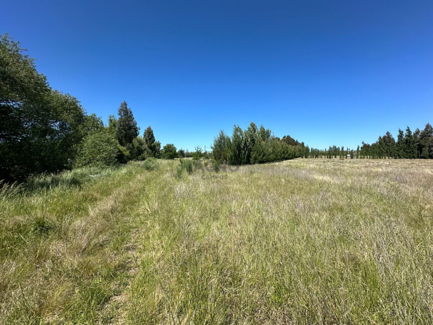 Campo  en Venta en Ruta 72,  Coronel Pringles - Bahía Blanca Propiedades | SITIO OFICIAL l