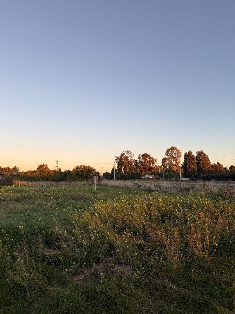 Terreno en Venta en Newbery, Patagonia Norte, Bahía Blanca - Bahía Blanca Propiedades | SITIO OFICIAL l