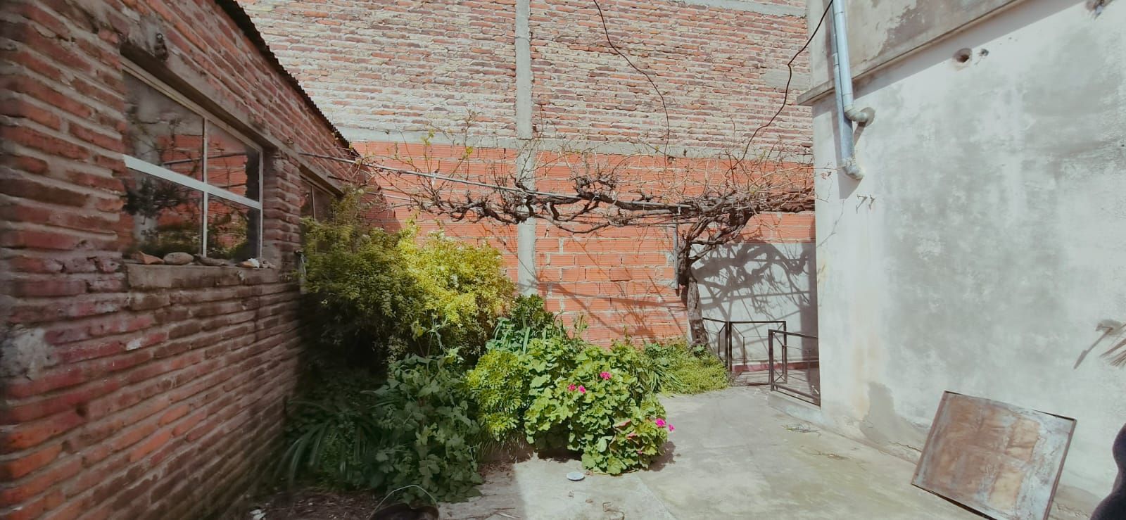 Casa en Venta en Newton 1078, Tiro Federal, Bahía Blanca - Bahía Blanca Propiedades | SITIO OFICIAL l