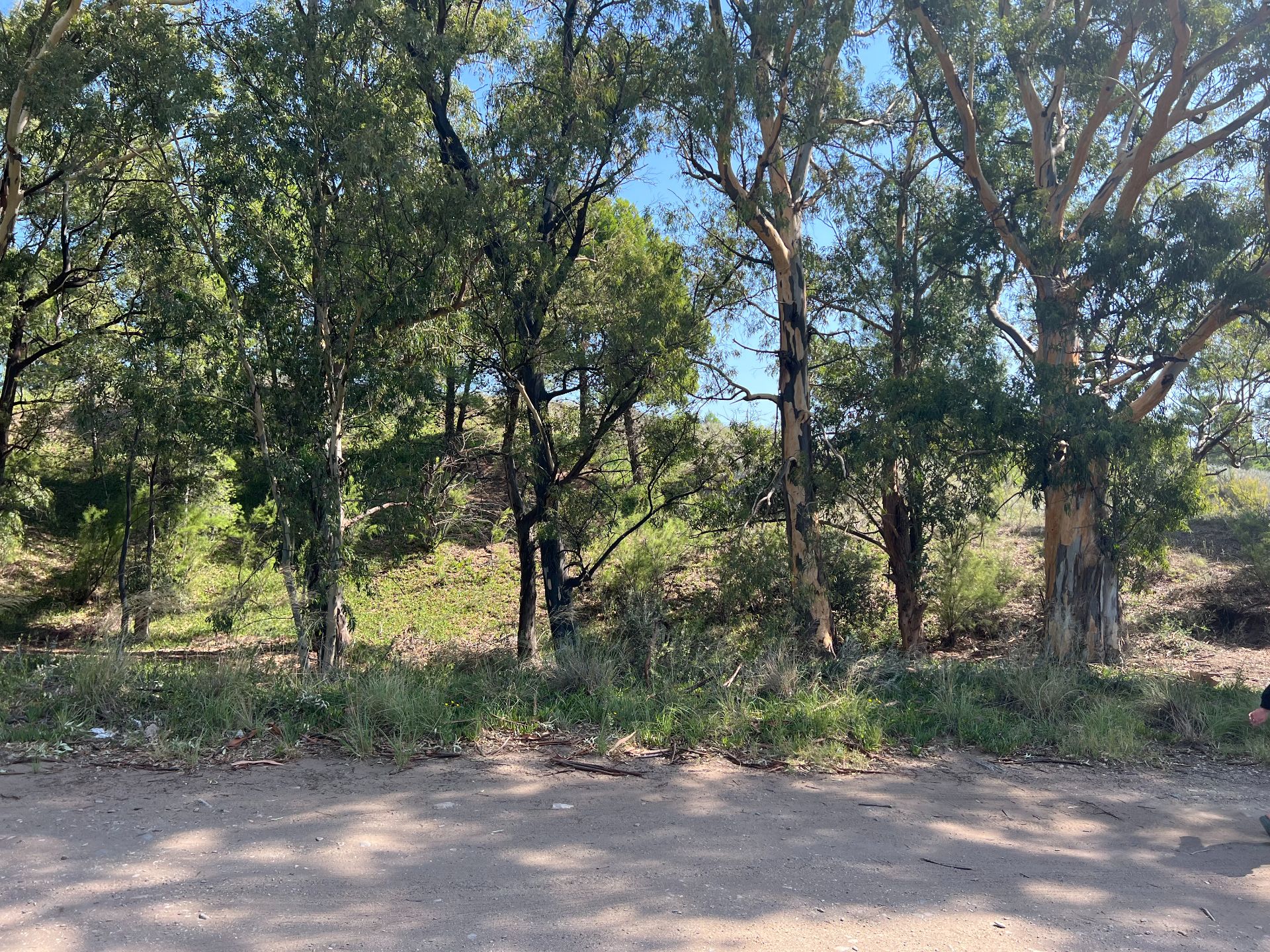 Terreno en Venta en Calle 8,  Pehuen Co - Bahía Blanca Propiedades | SITIO OFICIAL l