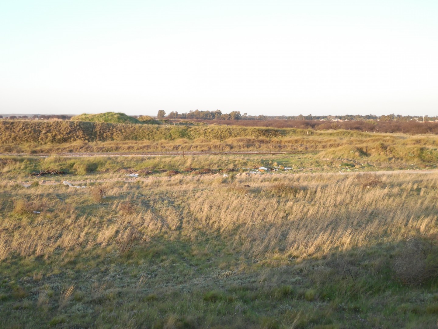 Terreno en Venta en Ruta 3 Sur - Frente Al Frigorífico Siracusa,  Bahía Blanca - Bahía Blanca Propiedades | SITIO OFICIAL l