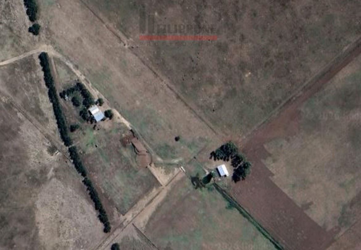 Campo  en Venta en Ruta Nacional 35 Km15,  Bahía Blanca - Bahía Blanca Propiedades | SITIO OFICIAL l