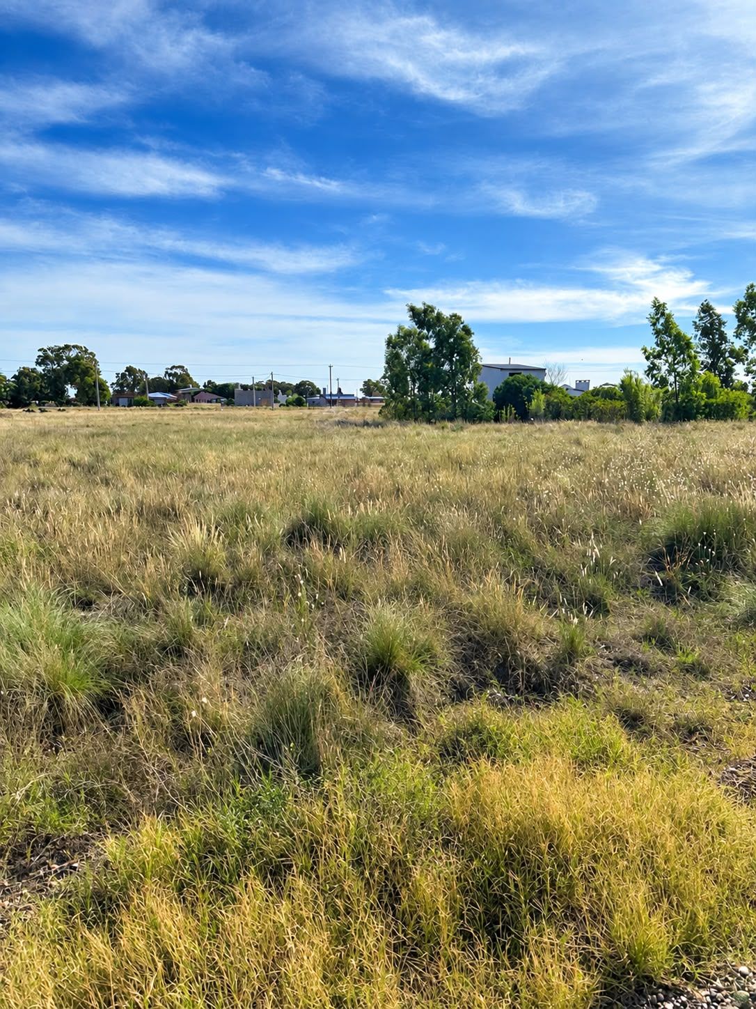 Terreno en Venta en Massini Y Betbeder,  Bahia San Blas - Bahía Blanca Propiedades | SITIO OFICIAL l
