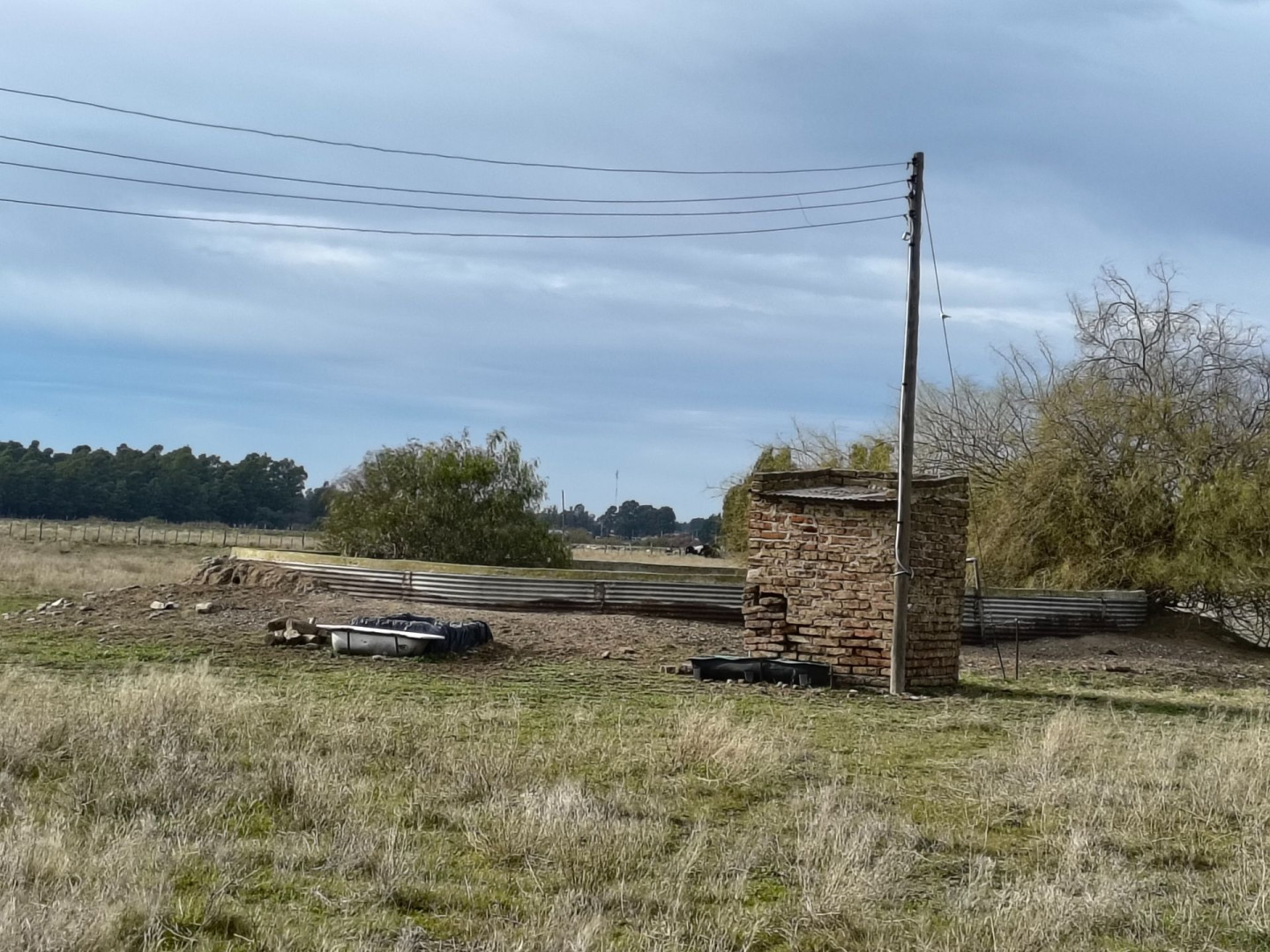 Campo  en Venta en Colonia Los Alfalfares,  Medanos - Bahía Blanca Propiedades | SITIO OFICIAL l
