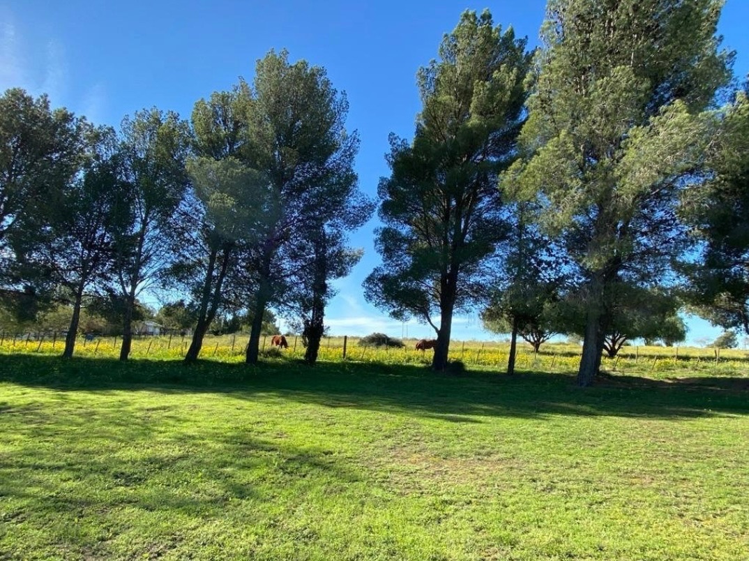 Terreno en Venta en Rigamonti 1895, Villa Belgrano, Bahía Blanca - Bahía Blanca Propiedades | SITIO OFICIAL l