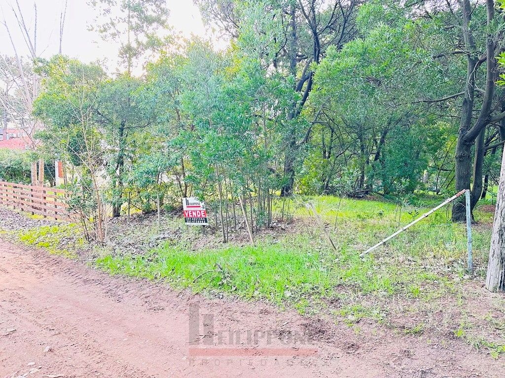 Terreno en Venta en Puleston 2300, El Sauce, Monte Hermoso - Bahía Blanca Propiedades | SITIO OFICIAL l