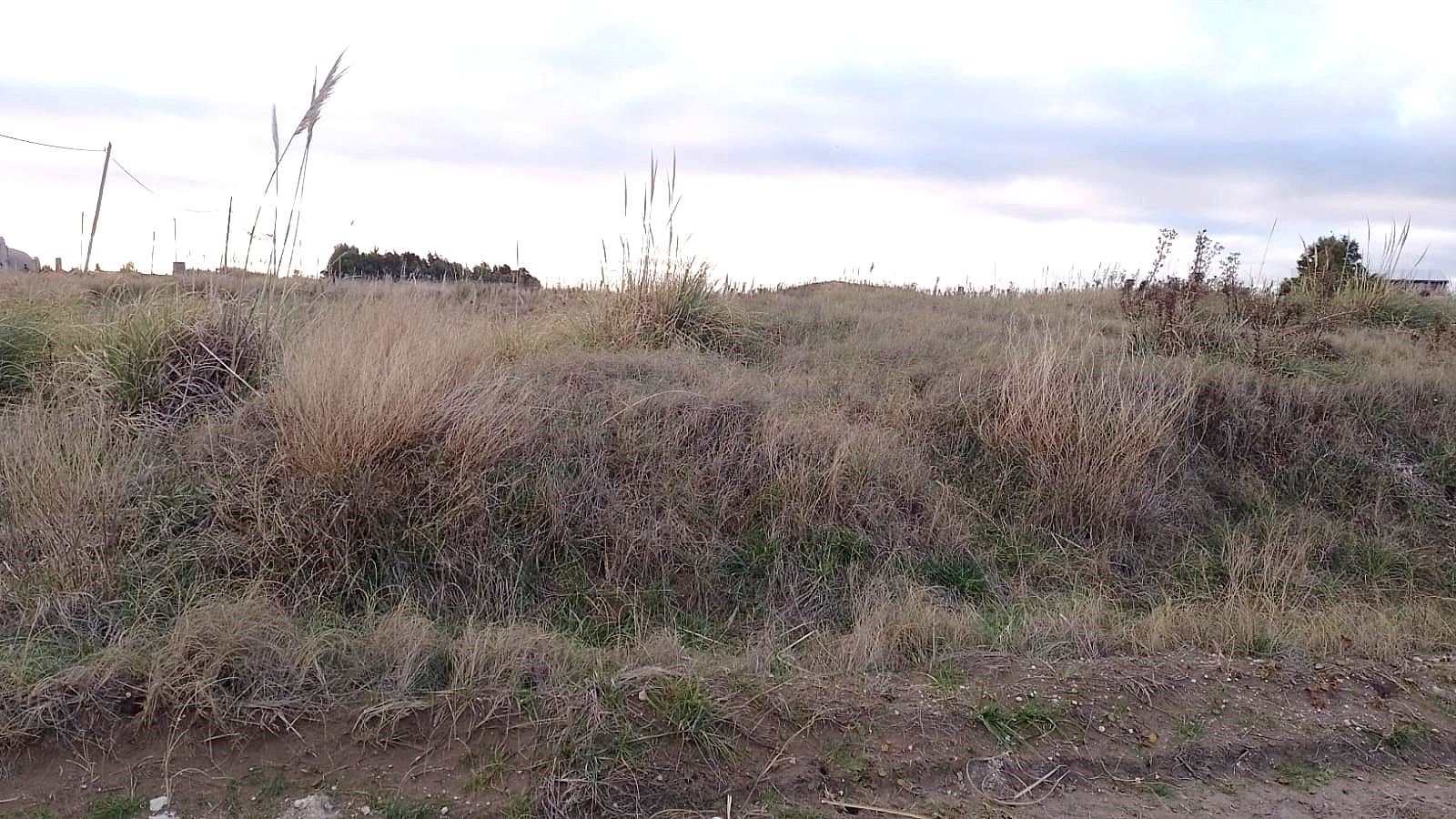 Terreno en Venta en Calle 55 Esquina Calle 62,  Balneario Reta - Bahía Blanca Propiedades | SITIO OFICIAL l