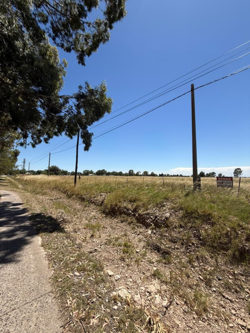 Terreno en Venta en Saavedra Y 15 De Julio,  Cabildo - Bahía Blanca Propiedades | SITIO OFICIAL l