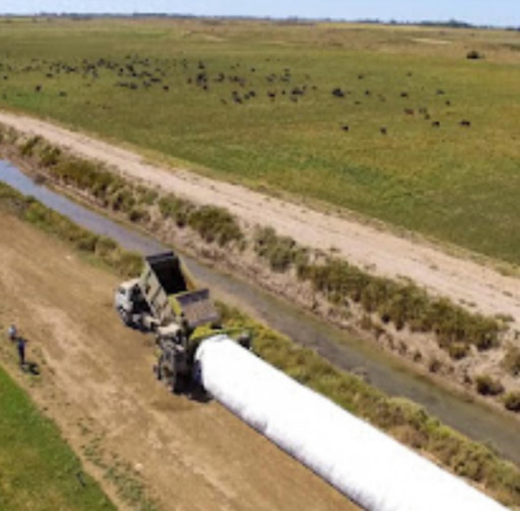 Campo  en Venta   Pedro Luro - Bahía Blanca Propiedades | SITIO OFICIAL l