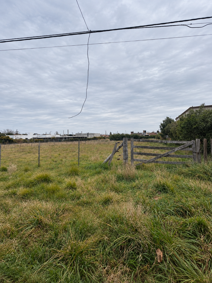 Terreno en Venta en PINO HACHADO  3452, Patagonia, Bahía Blanca - Bahía Blanca Propiedades | SITIO OFICIAL l