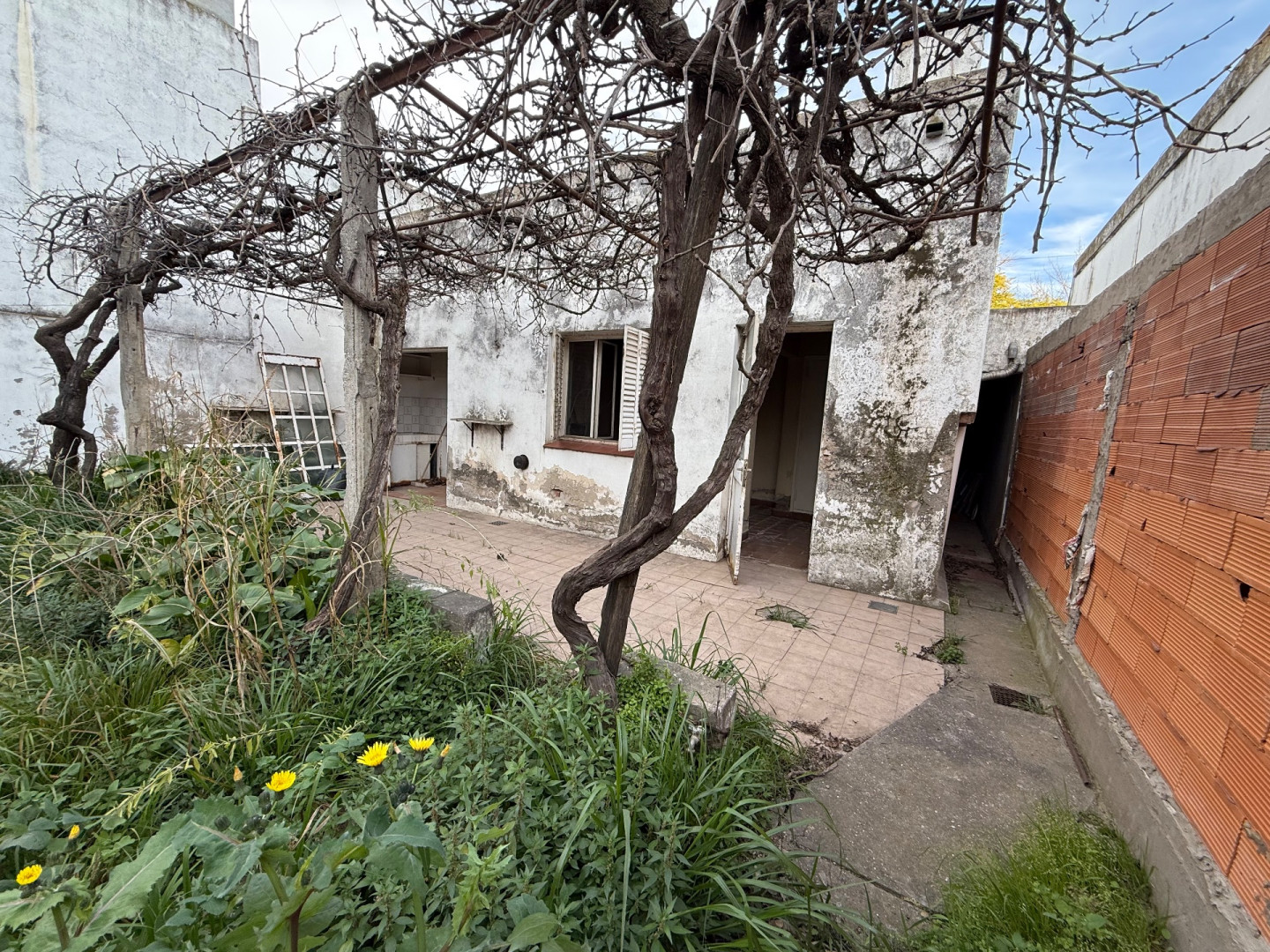 Casa en Venta en Blandenguez 854, Macrocentro, Bahía Blanca - Bahía Blanca Propiedades | SITIO OFICIAL l