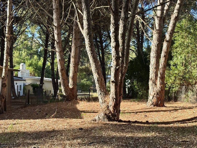 Terreno en Venta en Santa Clara Del Mar, El Sauce, Monte Hermoso - Bahía Blanca Propiedades | SITIO OFICIAL l