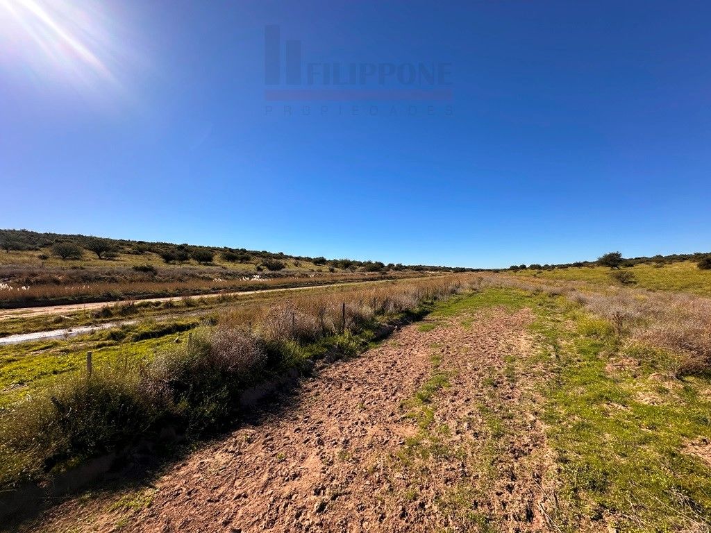 Campo  en Venta en Ruta 35 - Bahía Blanca Propiedades | SITIO OFICIAL l