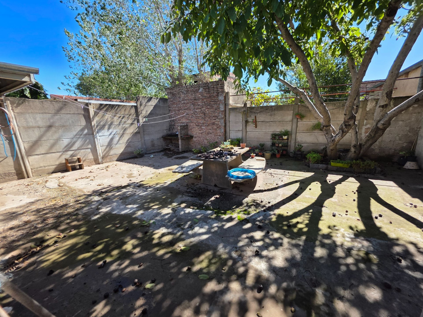 Casa en Alquiler en D'Angelis 44,  Bahía Blanca - Bahía Blanca Propiedades | SITIO OFICIAL l