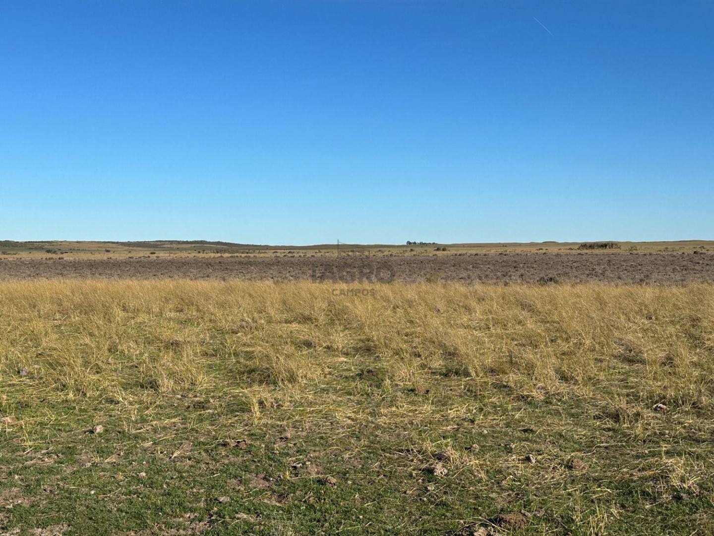 Campo  en Venta en Partido De Villarino,  Villarino - Bahía Blanca Propiedades | SITIO OFICIAL l
