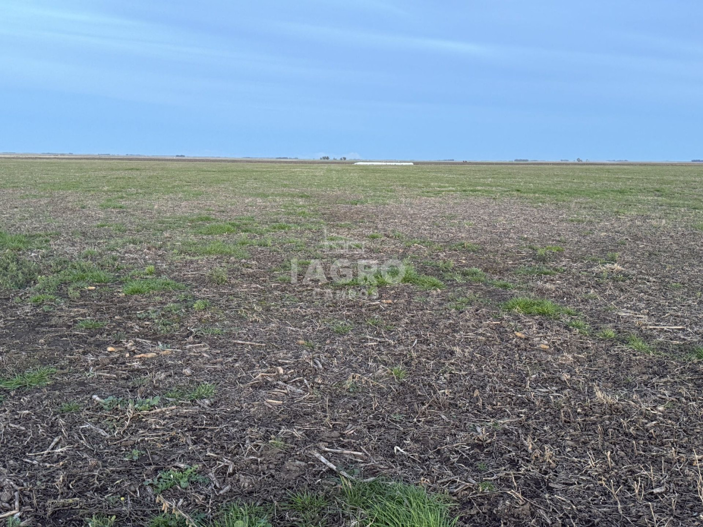 Campo  en Venta en Claudio Molina,  Tres Arroyos - Bahía Blanca Propiedades | SITIO OFICIAL l