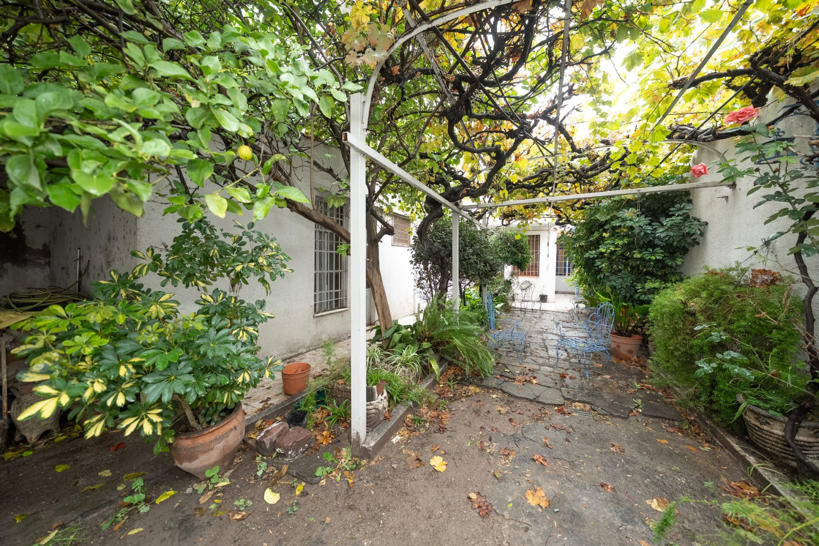 Casa en Venta en Sarmiento 511, Centro, Bahía Blanca - Bahía Blanca Propiedades | SITIO OFICIAL l