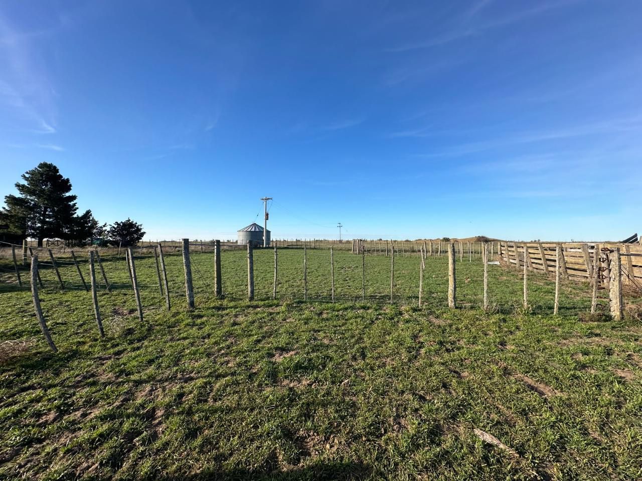 Campo  en Venta en A 4 Kilómetros De La Ruta 3.,  Teniente Origone - Bahía Blanca Propiedades | SITIO OFICIAL l