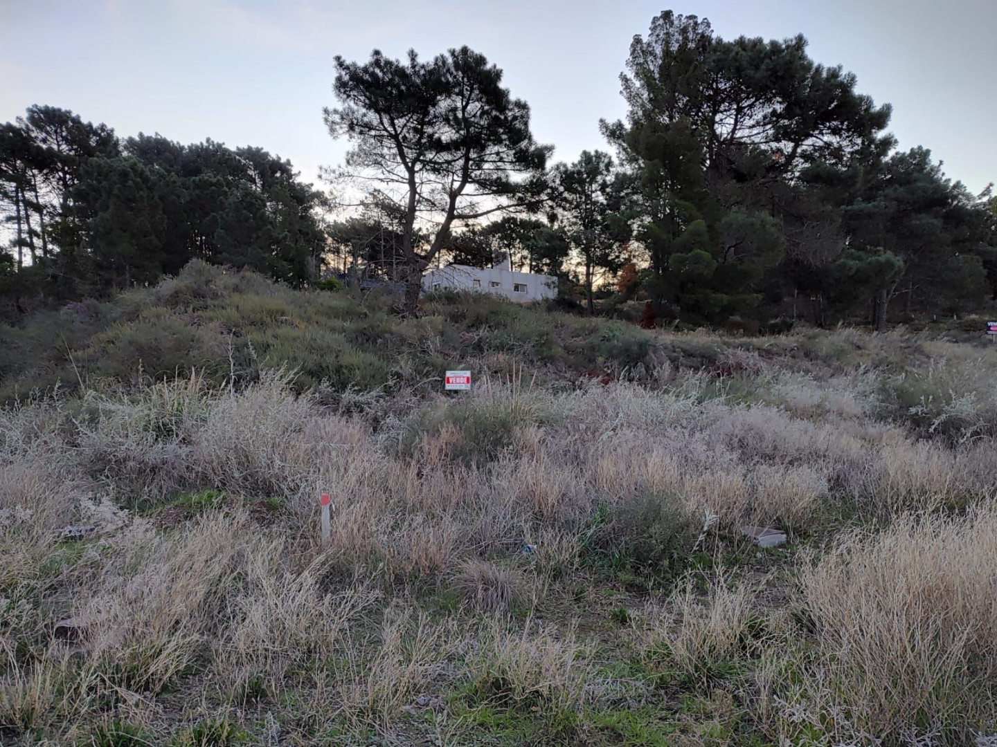Terreno en Venta en Las Martinetas Esquina Las Urracas, Pinar del Golf, Monte Hermoso - Bahía Blanca Propiedades | SITIO OFICIAL l