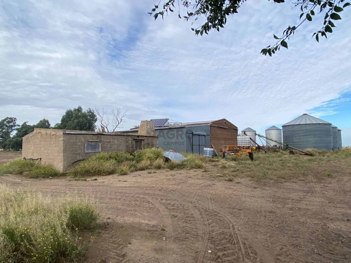 Campo  en Venta en Puan,  Puan - Bahía Blanca Propiedades | SITIO OFICIAL l