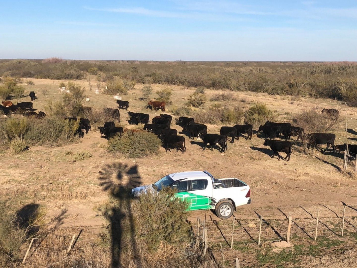 Campo  en Venta en Pradere,  Carmen de Patagones - Bahía Blanca Propiedades | SITIO OFICIAL l