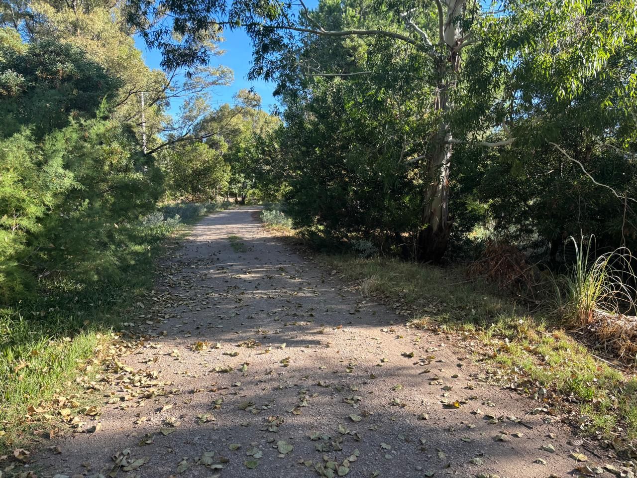 Terreno en Venta en Edurado Plache Y Miramar, El Sauce, Monte Hermoso - Bahía Blanca Propiedades | SITIO OFICIAL l