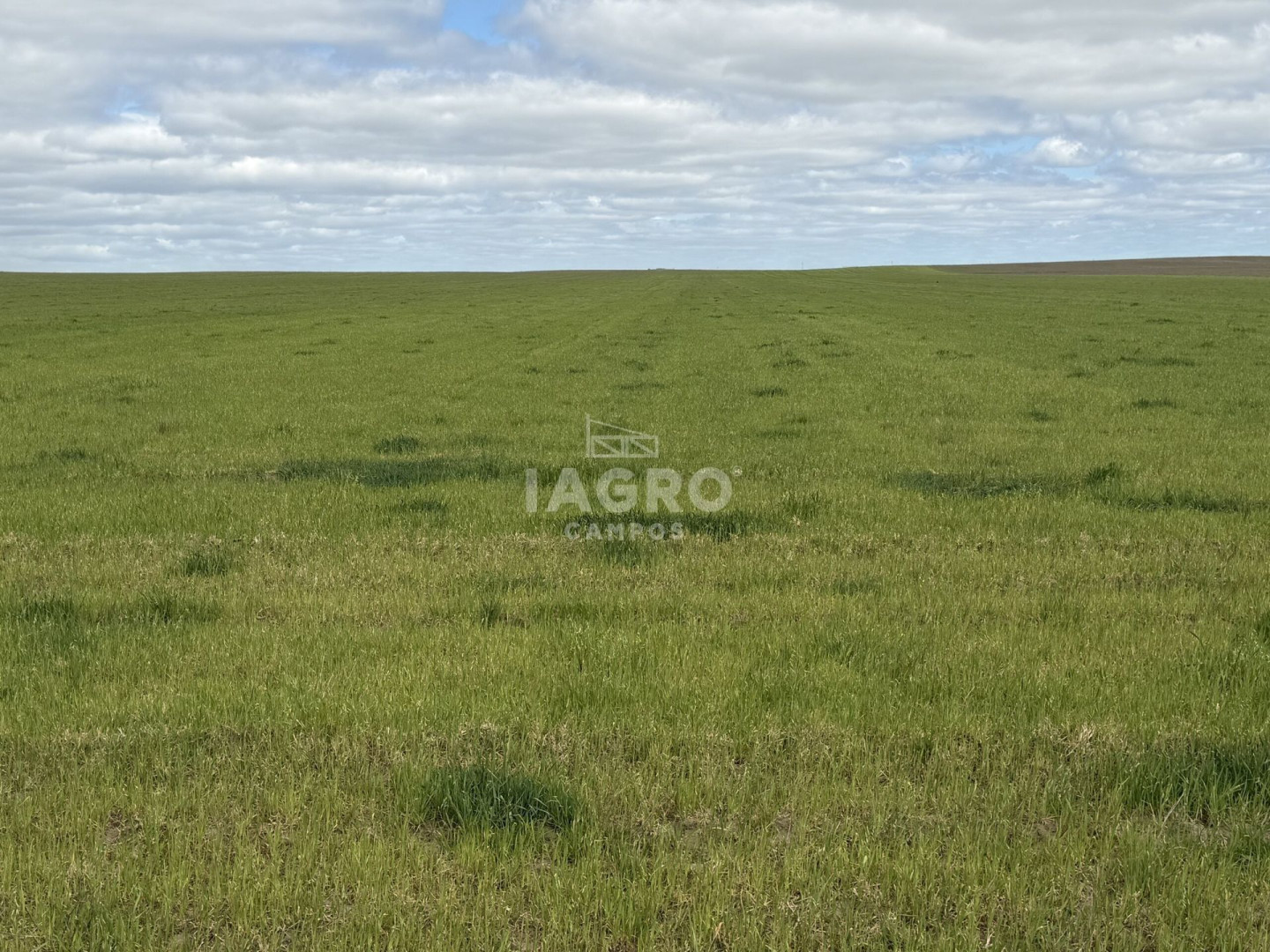 Campo  en Venta en Stroeder,  Stroeder - Bahía Blanca Propiedades | SITIO OFICIAL l