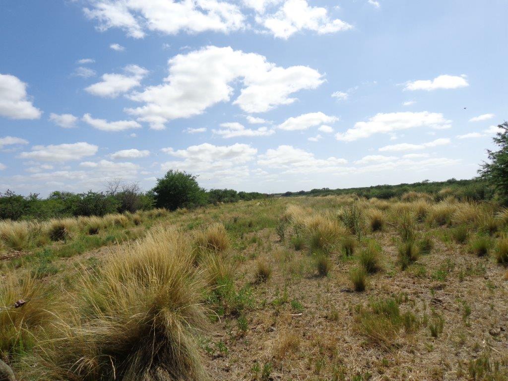 Campo  en Venta en Algarrobo Buenos Aires,  Algarrobo - Bahía Blanca Propiedades | SITIO OFICIAL l