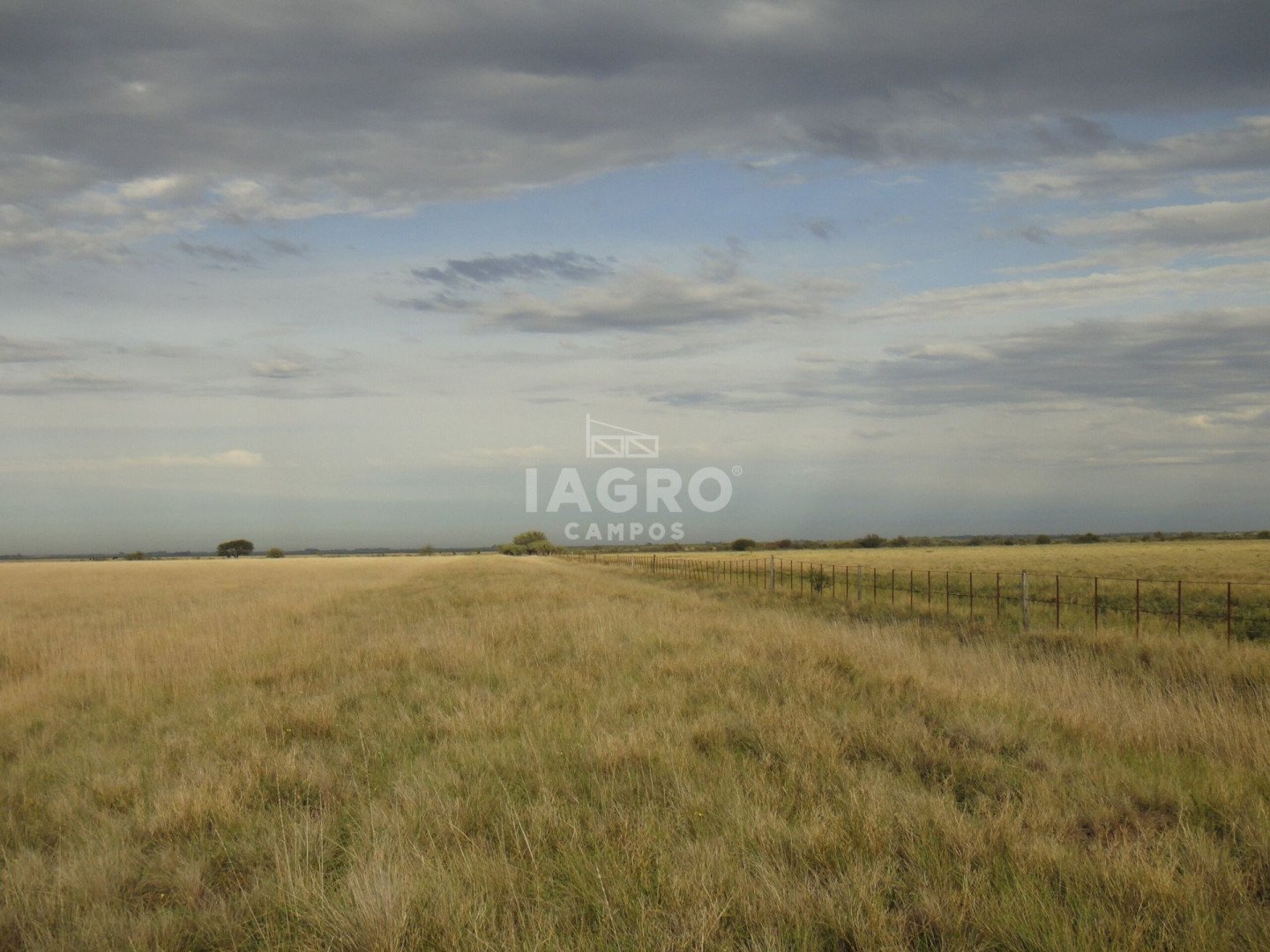 Campo  en Venta en Colonia La Merced,  Villarino - Bahía Blanca Propiedades | SITIO OFICIAL l