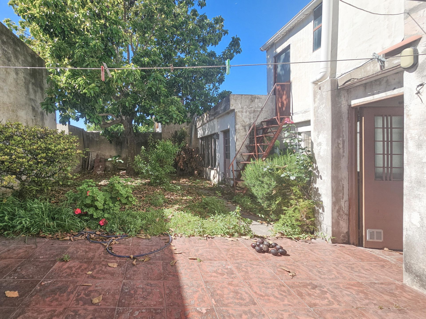 Casa en Venta en Patricios 576, Macrocentro, Bahía Blanca - Bahía Blanca Propiedades | SITIO OFICIAL l