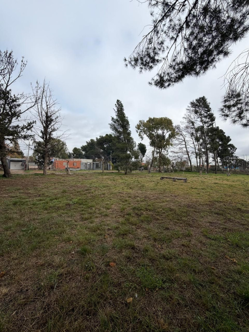 Terreno en Venta en Profesora Herminia Abat Y Matheu, Altos del Pinar, Bahía Blanca - Bahía Blanca Propiedades | SITIO OFICIAL l