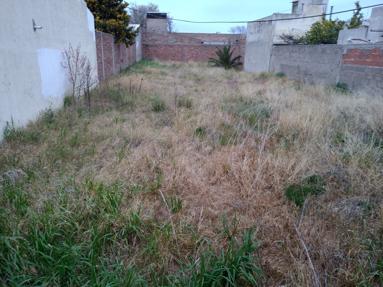 Terreno en Venta en Mallea 61, San Roque, Bahía Blanca - Bahía Blanca Propiedades | SITIO OFICIAL l