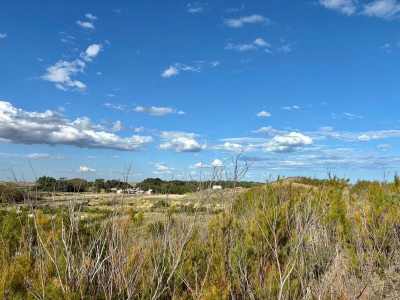 Terreno en Venta en Costanera Y Punta Indio, El Sauce, Monte Hermoso - Bahía Blanca Propiedades | SITIO OFICIAL l