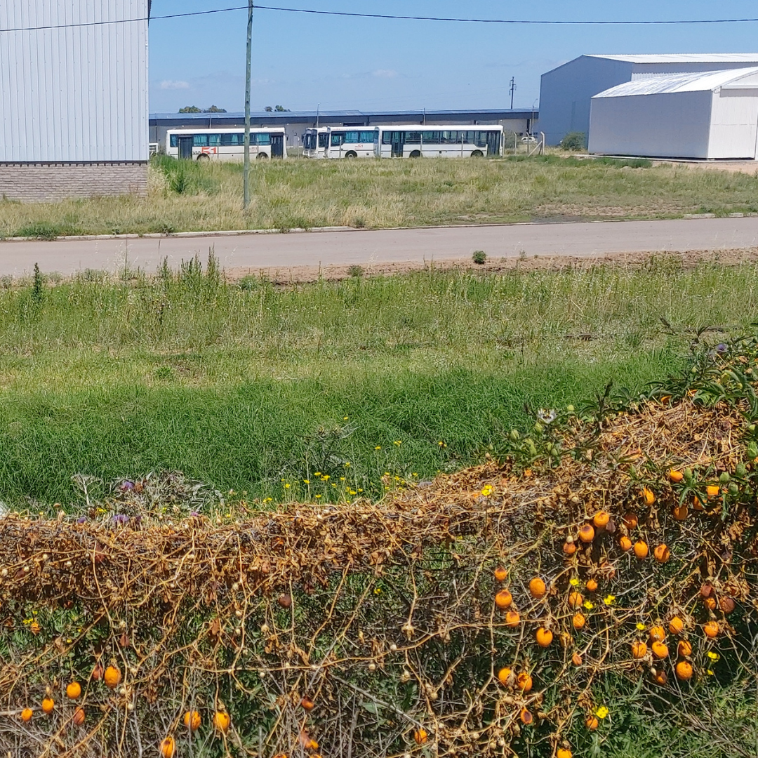 Terreno en Venta   Bahía Blanca - Bahía Blanca Propiedades | SITIO OFICIAL l