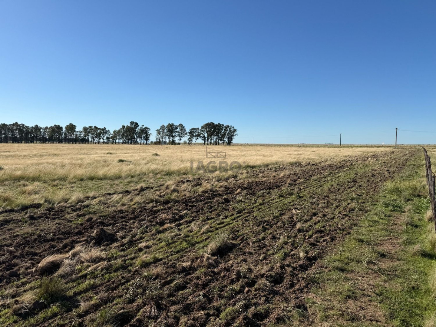 Campo  en Venta en Bajo Hondo,  Bajo Hondo - Bahía Blanca Propiedades | SITIO OFICIAL l